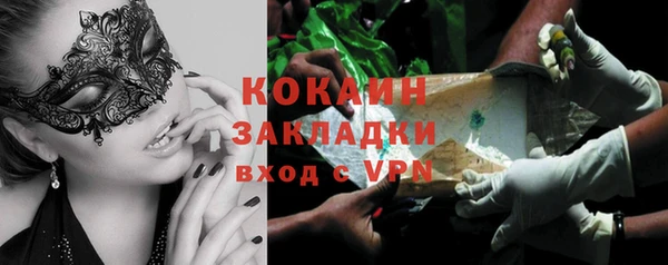 крисы Баксан