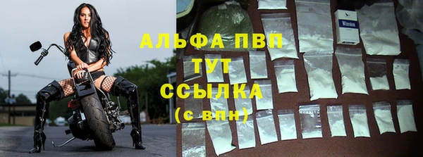 крисы Баксан