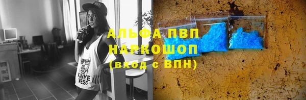 крисы Баксан