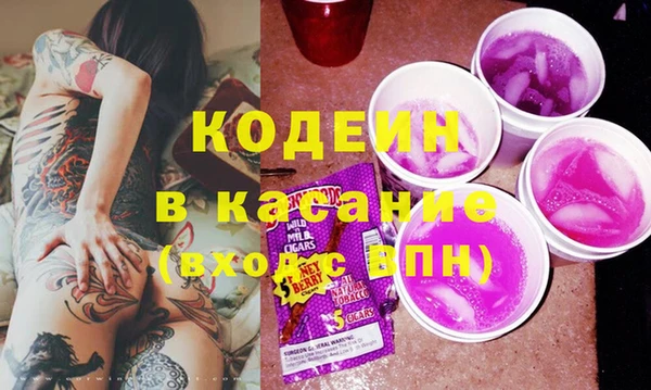 крисы Баксан