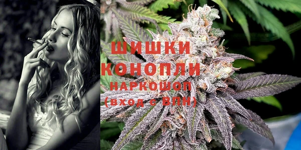 крисы Баксан